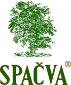 Spačva
